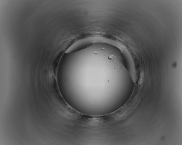 X0000094970320200712061434