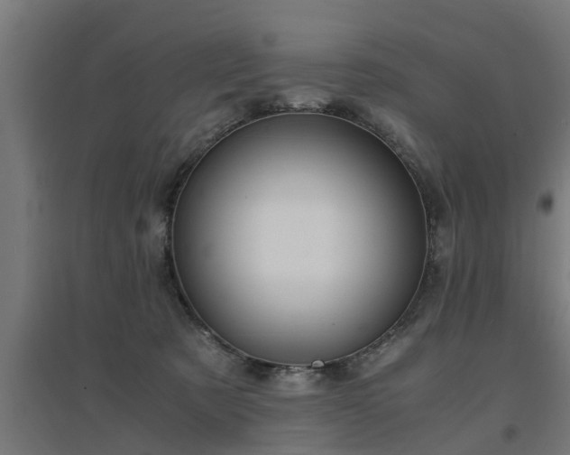 X0000094970321200712061434