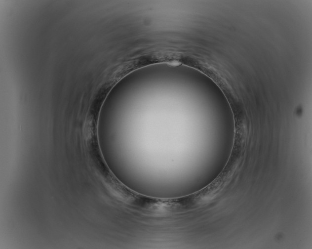 X0000094970323200712061434