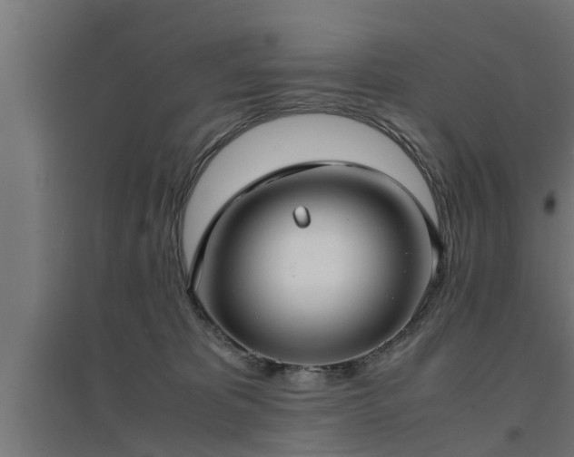 X0000094970325200712061434