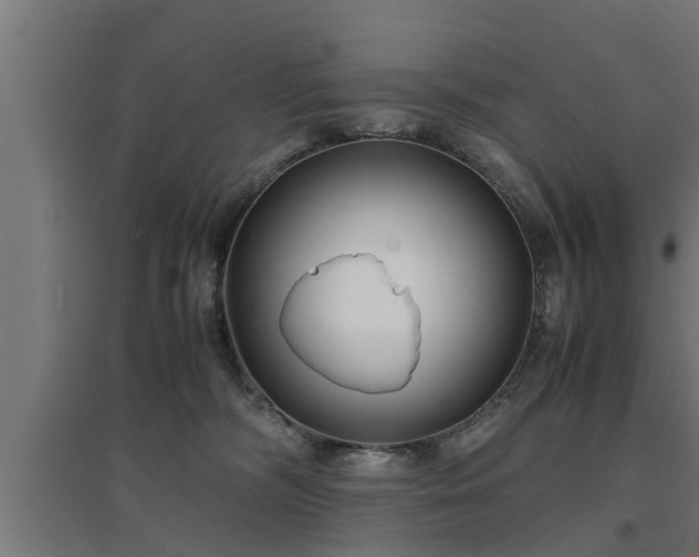 X0000094970326200712061434