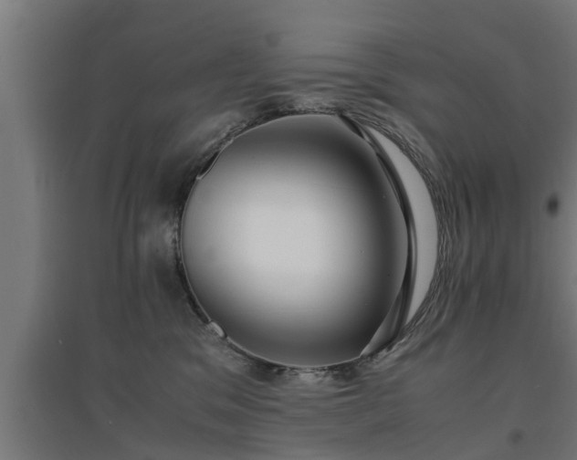 X0000094970329200712061434