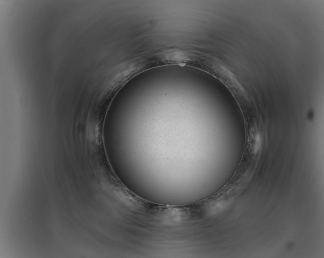 X0000094970330200712061434