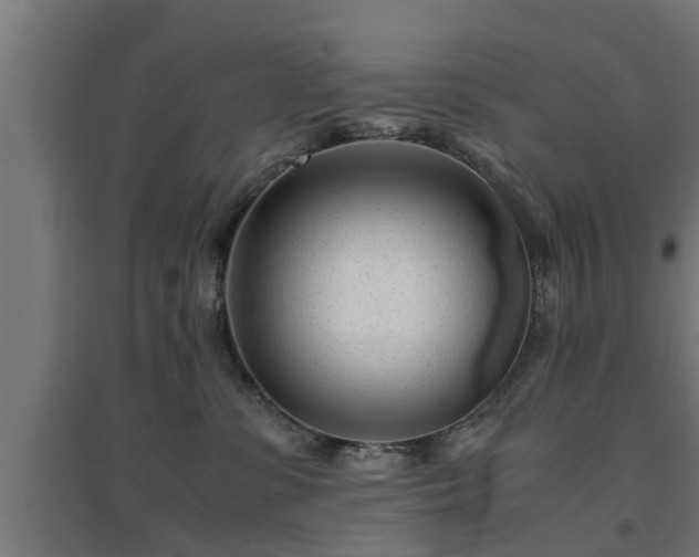 X0000094970331200712061434