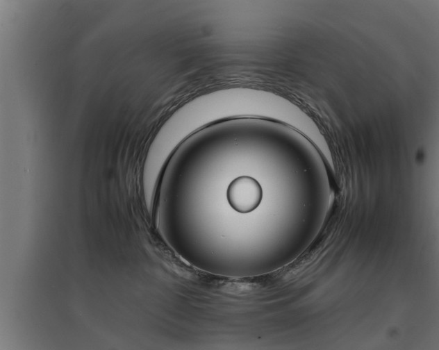 X0000094970332200712061434