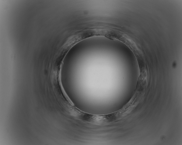 X0000094970333200712061434