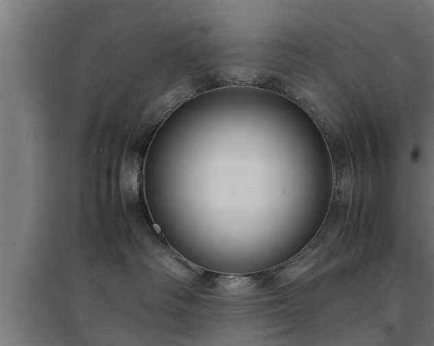 X0000094970334200712061434