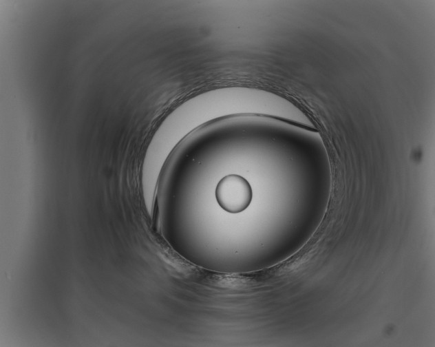 X0000094970336200712061433