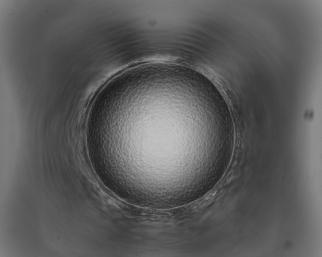 X0000094970337200712061433