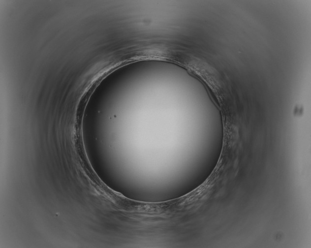 X0000094970338200712061433