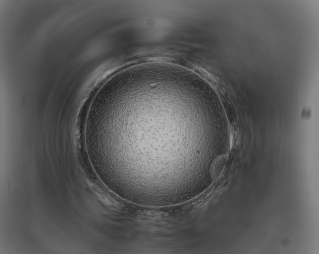 X0000094970339200712061433