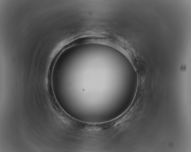 X0000094970340200712061433