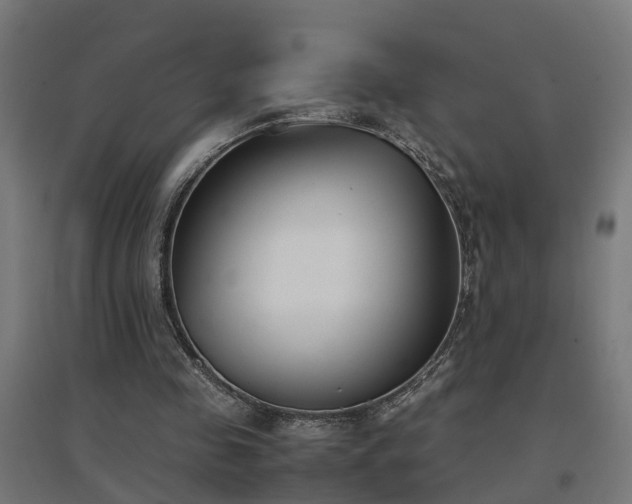 X0000094970341200712061433