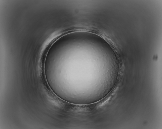 X0000094970343200712061433