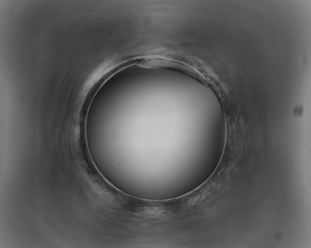 X0000094970344200712061433