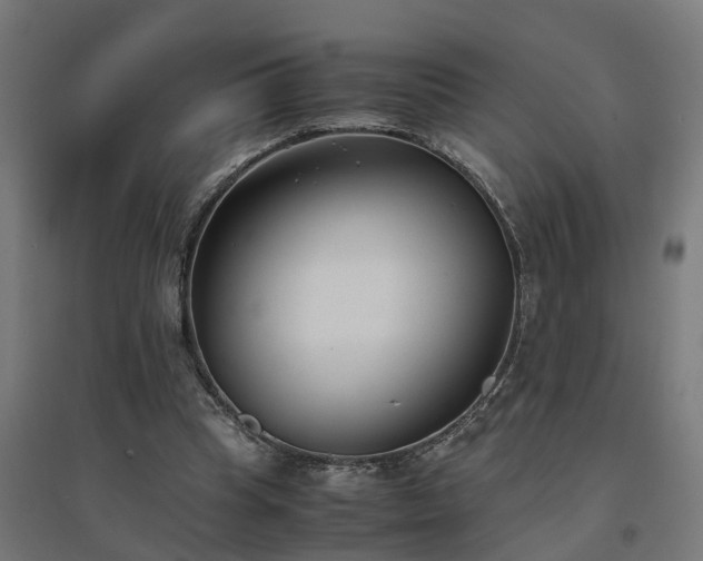 X0000094970345200712061433