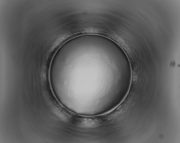 X0000094970347200712061433