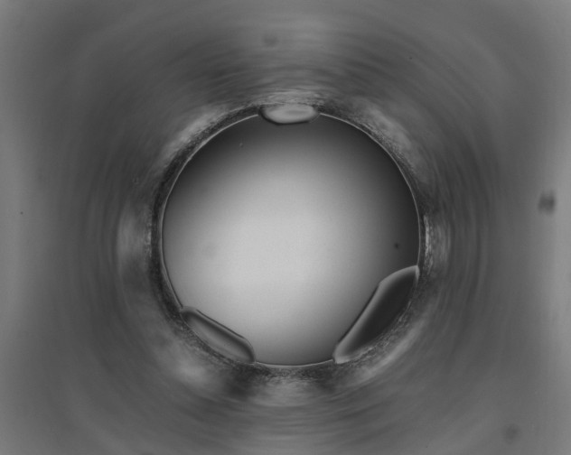 X0000094970348200712061433