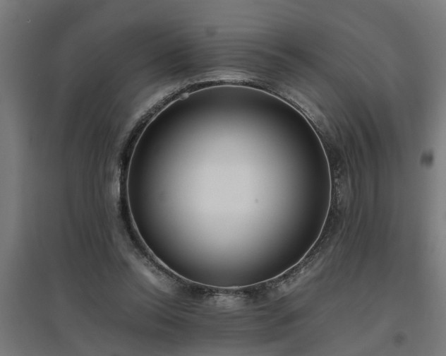 X0000094970350200712061433