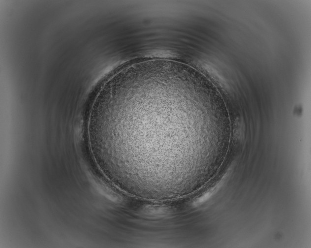 X0000094970351200712061433