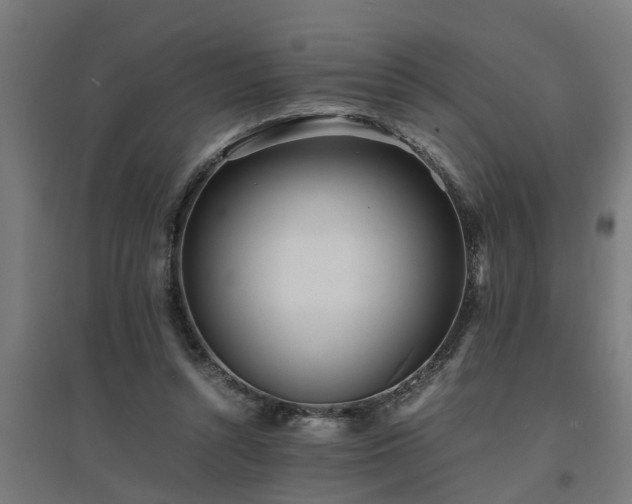 X0000094970352200712061433