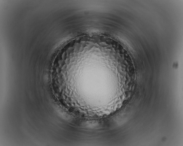 X0000094970353200712061433