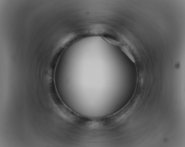 X0000094970356200712061433