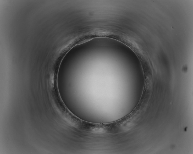 X0000094970358200712061433