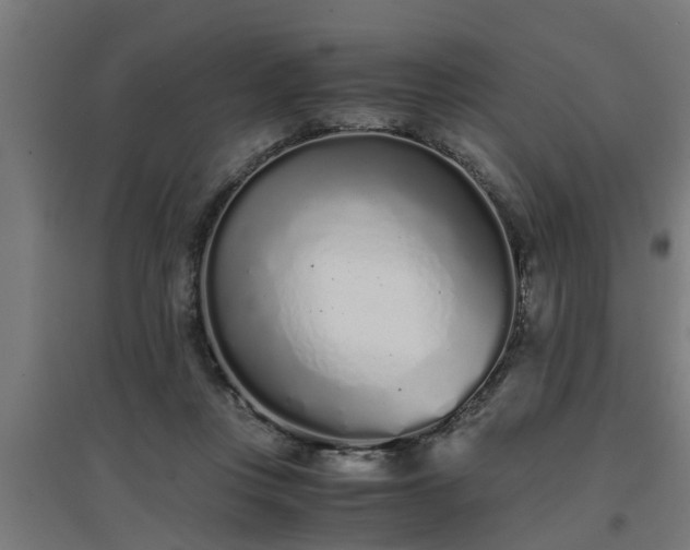 X0000094970359200712061433