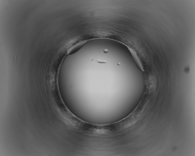 X0000094970360200712061433