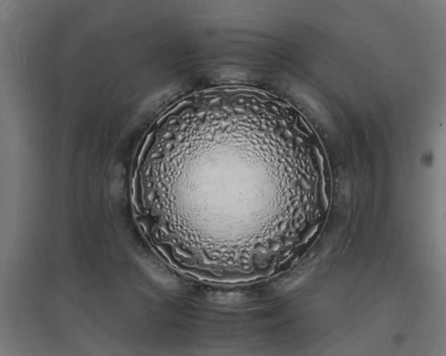 X0000094970361200712061433