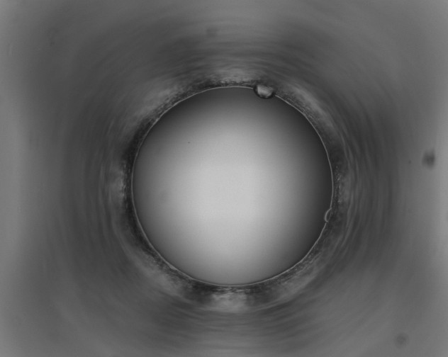 X0000094970362200712061433