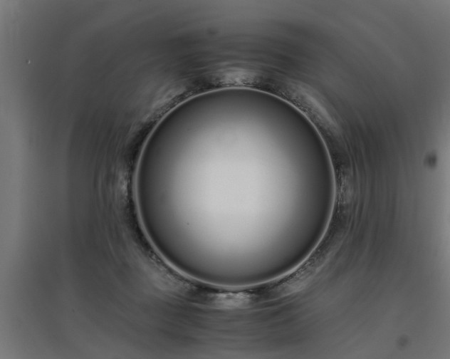 X0000094970363200712061433