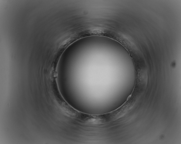 X0000094970364200712061433