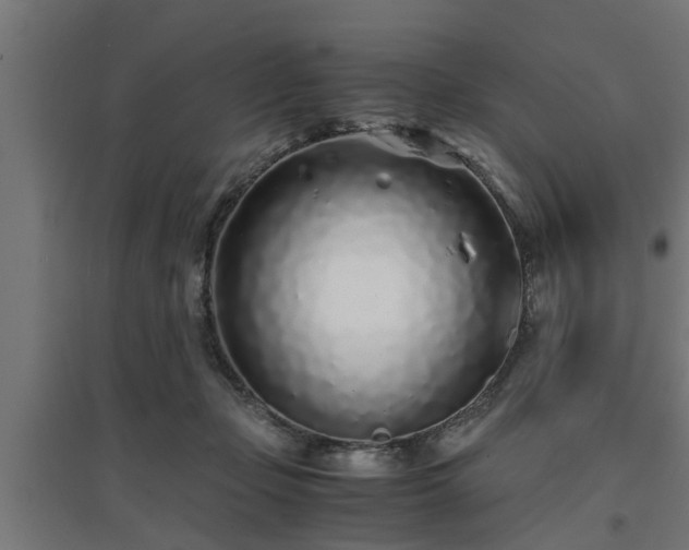 X0000094970365200712061433