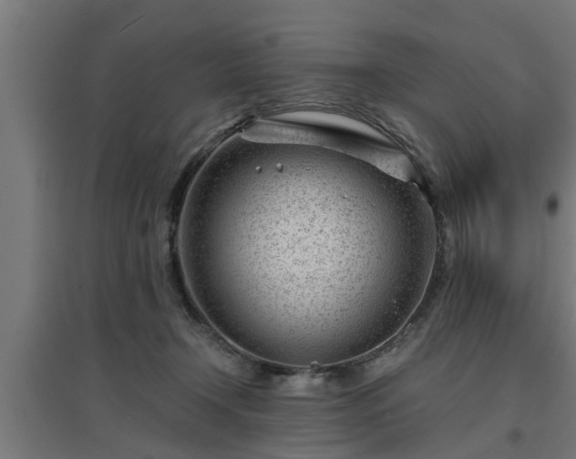 X0000094970366200712061433