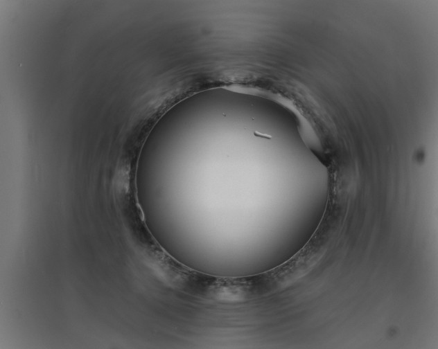 X0000094970368200712061433