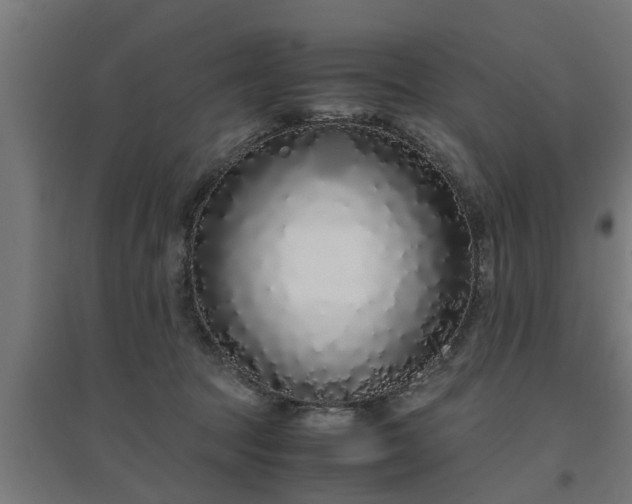 X0000094970369200712061433