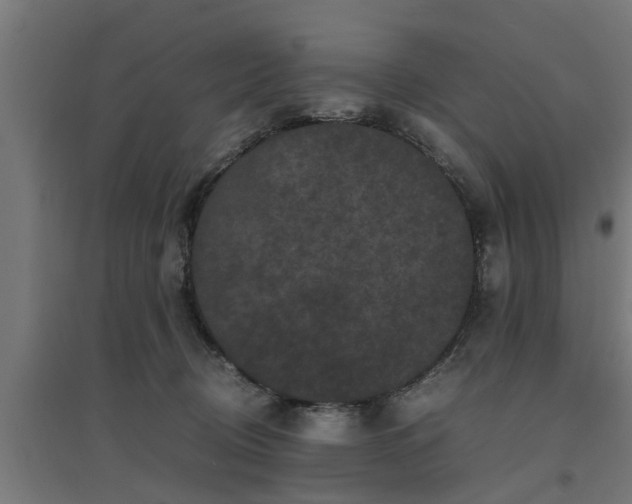 X0000094970370200712061433