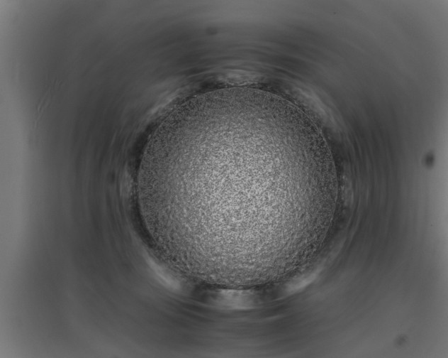 X0000094970371200712061433