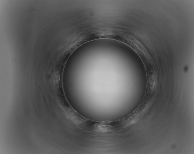 X0000094970372200712061433