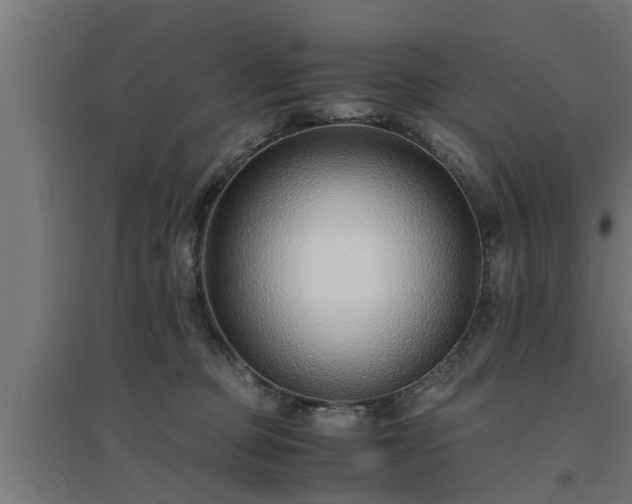 X0000094970373200712061433