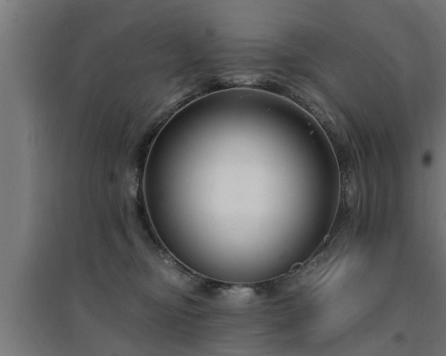 X0000094970374200712061433