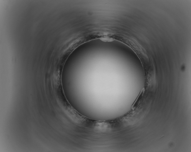 X0000094970376200712061433