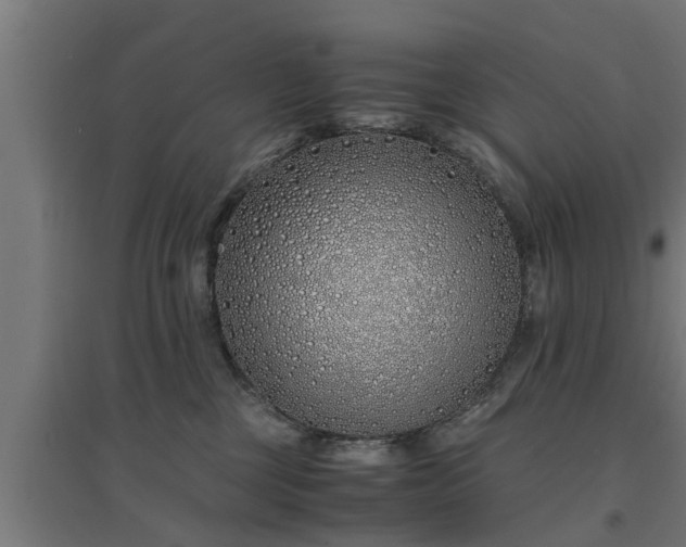 X0000094970377200712061433