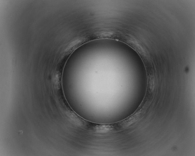 X0000094970378200712061433