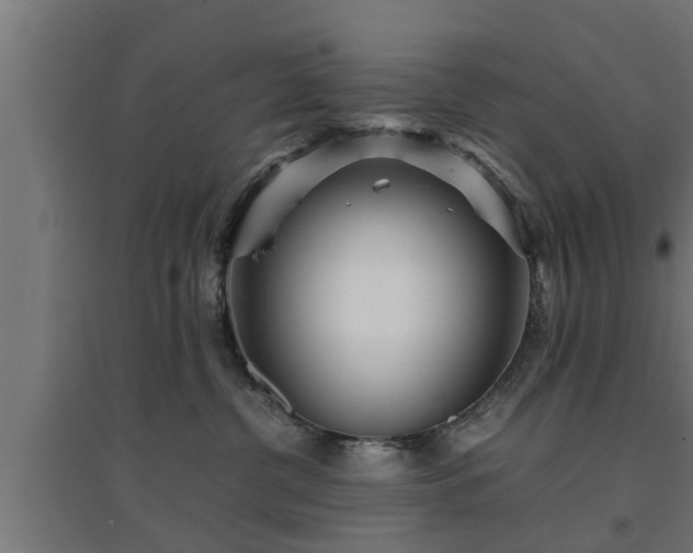 X0000094970380200712061433