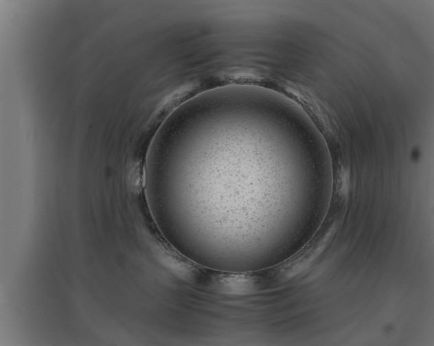 X0000094970383200712061433