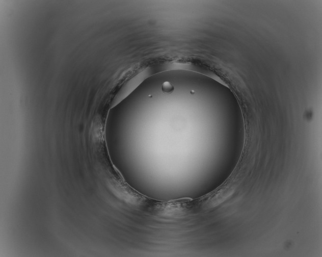 X0000094970384200712061433