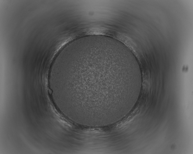 X0000094970386200712061433